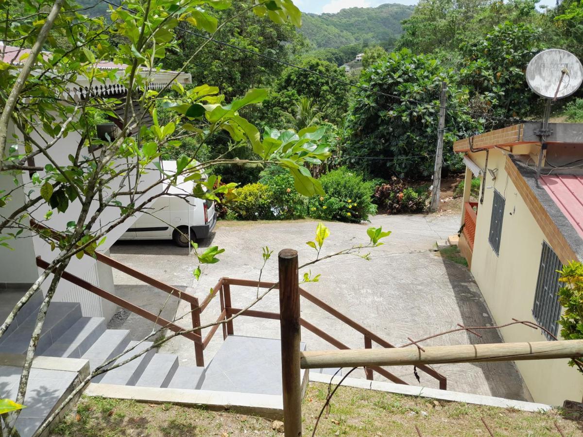 La Poulette Amazonienne Rivière-Pilote Exterior foto